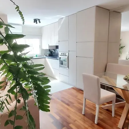 Apartment Jardim Na Matosinhos (Porto)