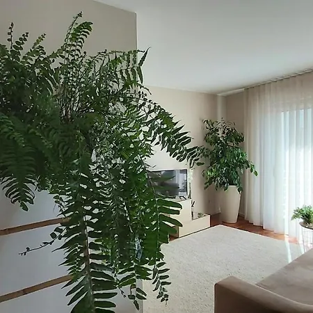 Apartment Jardim Na Matosinhos (Porto)