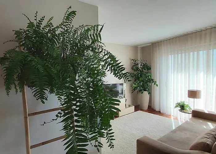 Apartament Jardim Na Matosinhos (Porto)